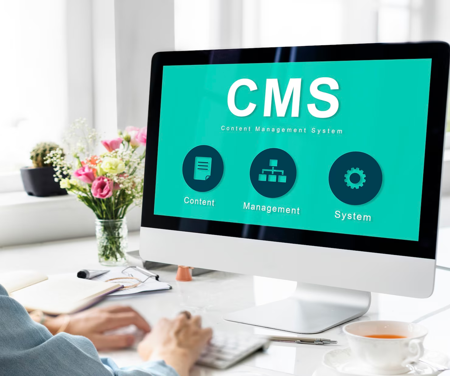 HIRE eCOMMARCE AND CMS DEVELOPER