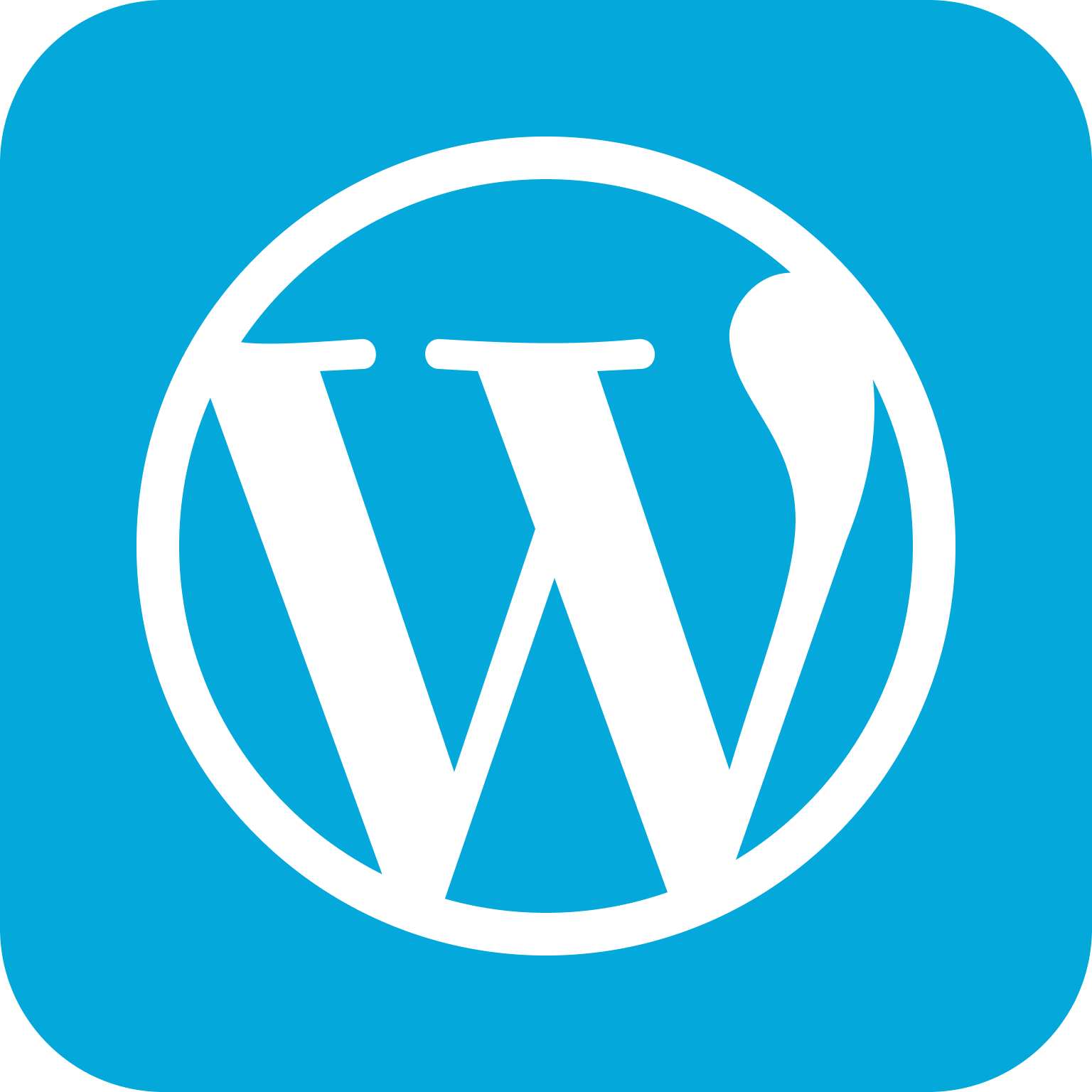 WORDPRESS ICON 1